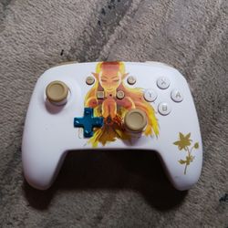Nintendo Switch Controllers Zelda
