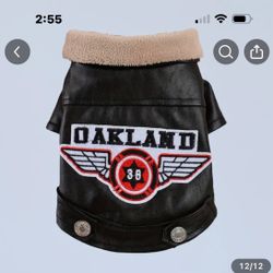 Biker Doggy in style