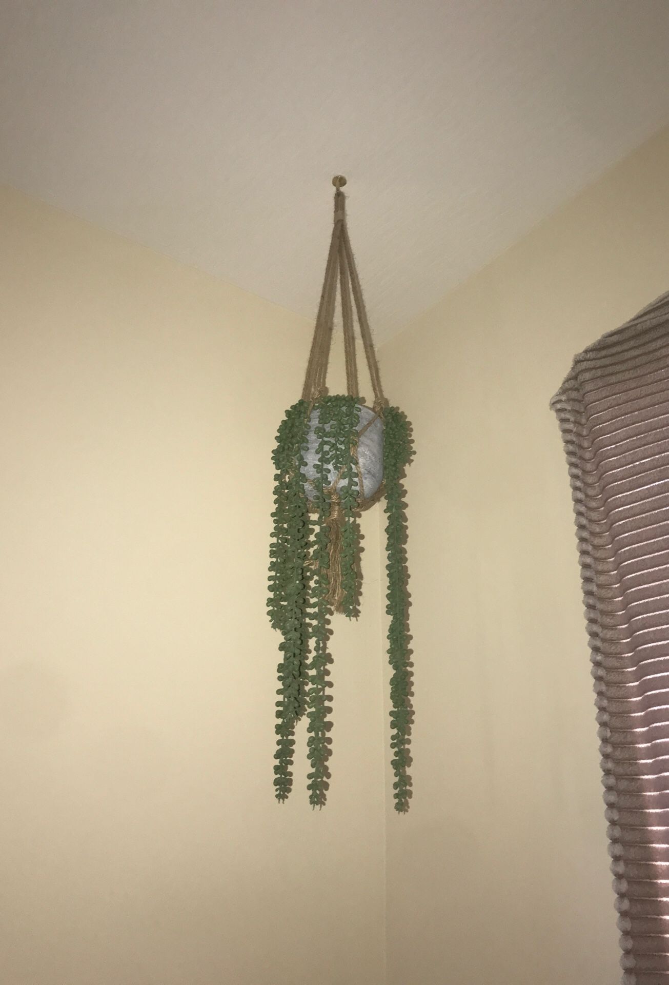 Fake hanging succulent