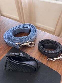 Dog leashes and collar