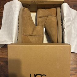 Uggs boots 