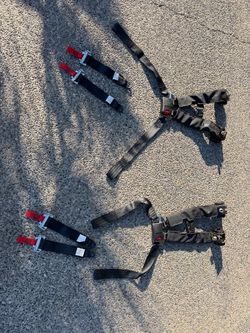 Can Am retractable 4 point harnesses