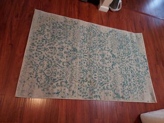 Everek IV/Aqua Area Rug 3.6 x 5.6 in very good condition
