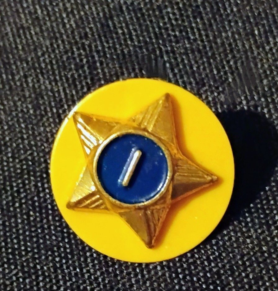 Vintage Boy Scouts 1 Year Star Pin 