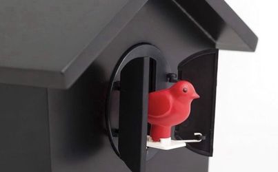 60 Cash Near AV College Chirping Bird Clock