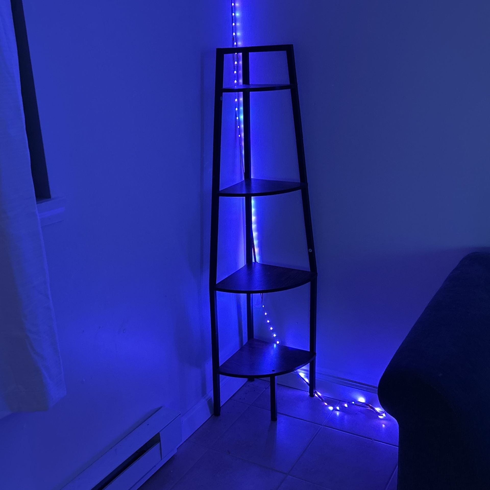 Shelf