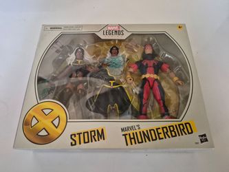 Hasbro Marvel Legends Storm and Thunderbird