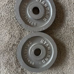 2-25lb. Olympic Weight Plates 