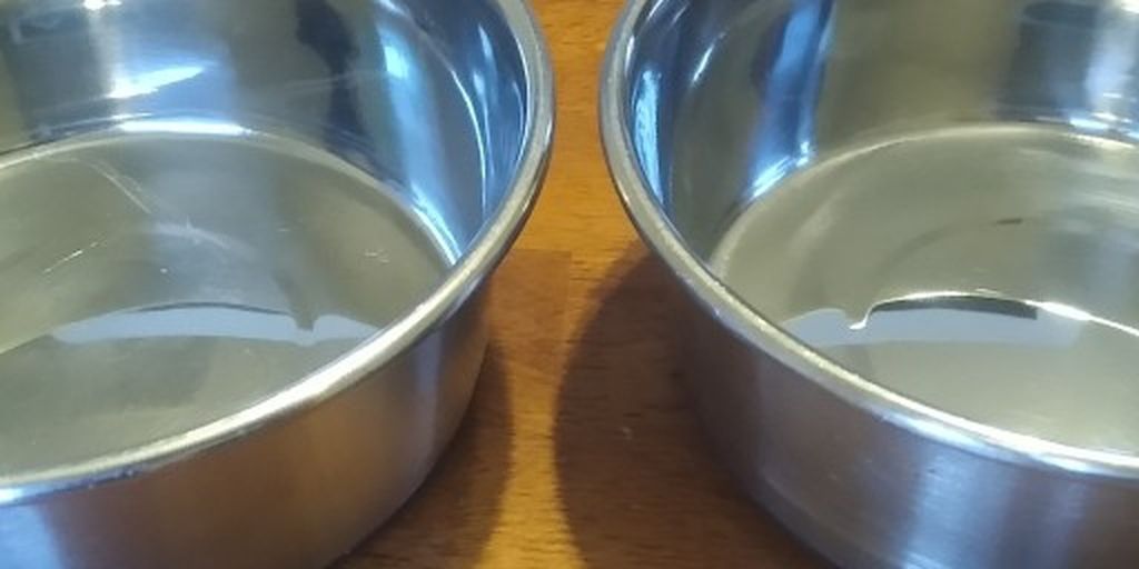 Stainless Steel Dog Water Food Bowls - Medium