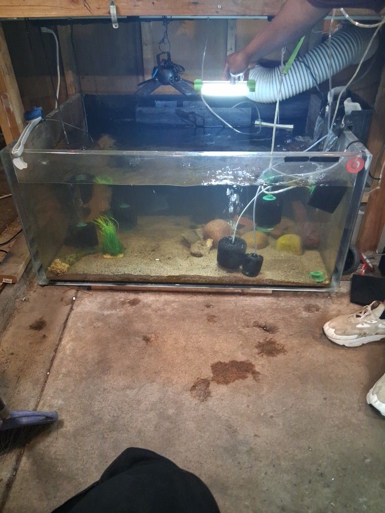 🤩🤩FREE🤯 48"×34" 150gal. FREE!!!!!!!