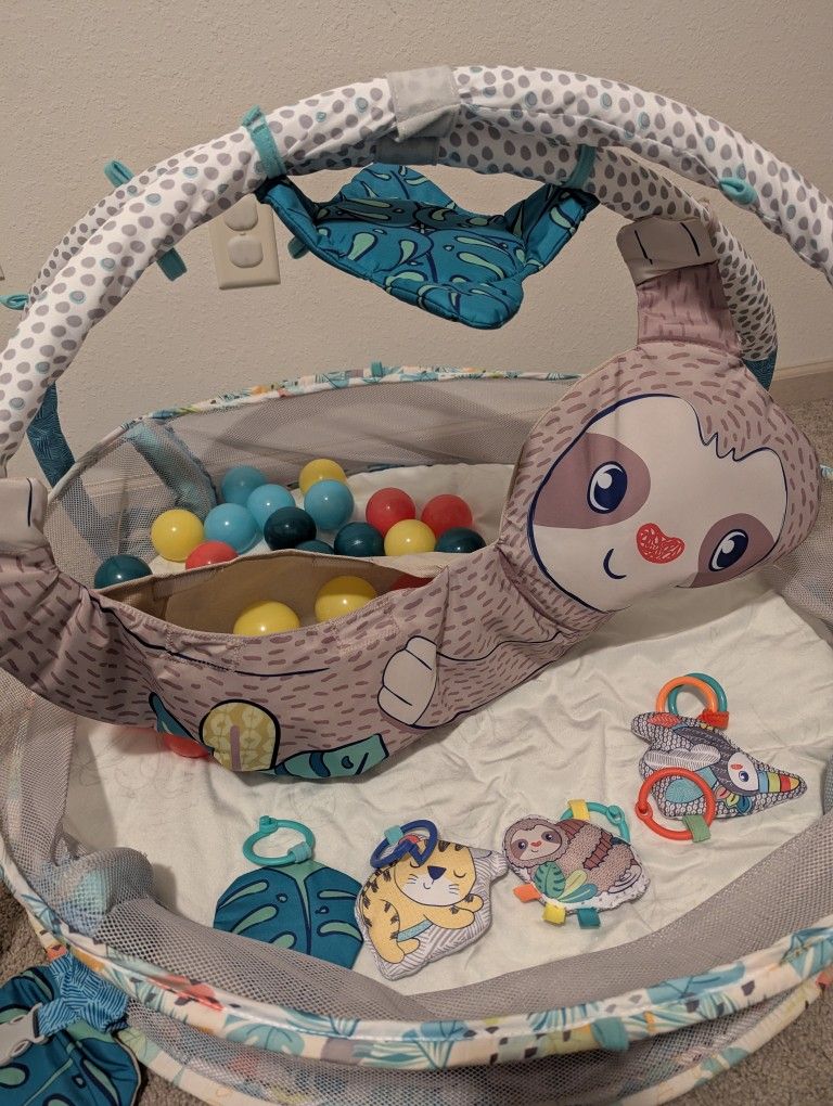 Activity Gym & Ball Pit