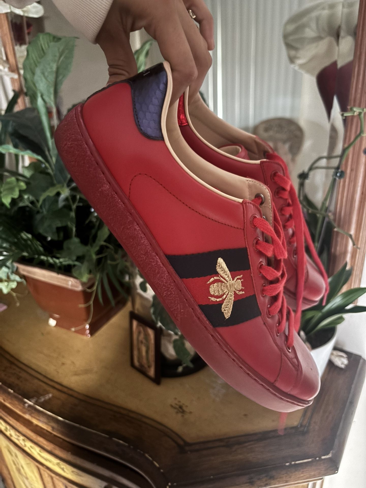 Gucci Shoes 
