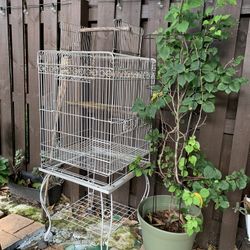 Large Bird Cage