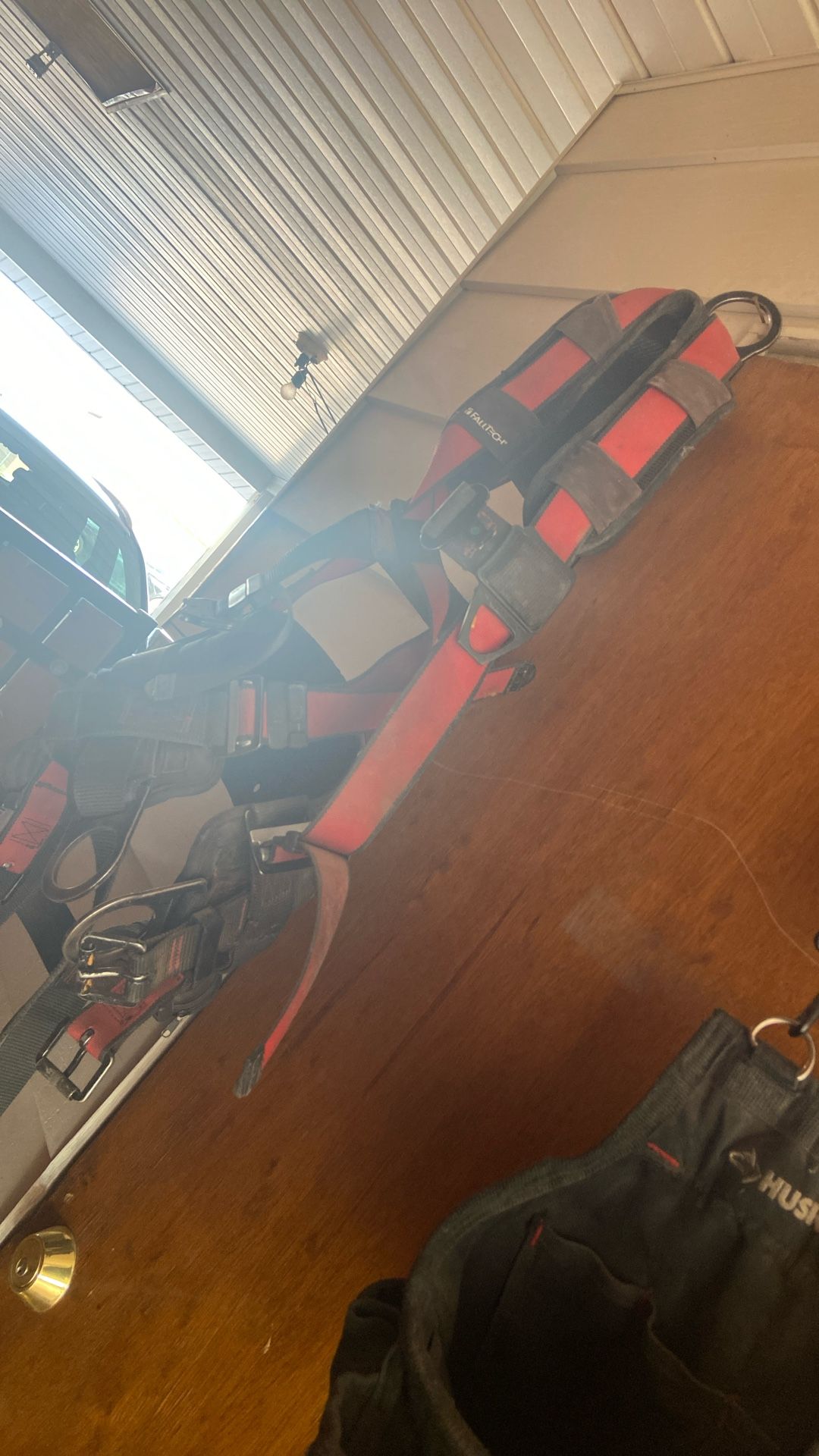 Harness