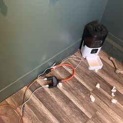 Automatic Dog Feeders 