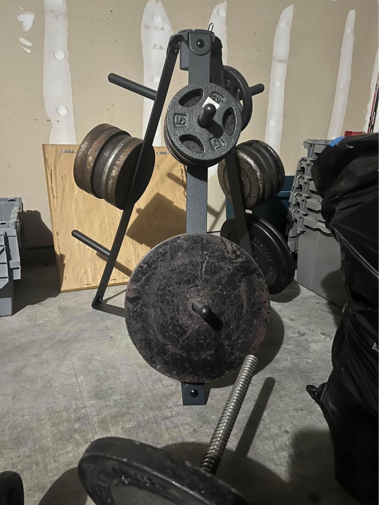 Weights, Barbell, Dumbell