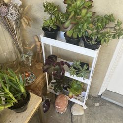White Plant Stand Plant Shelves