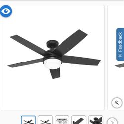 Hunter Asheville 52” Indoor/Outdoor Ceiling Fan $120