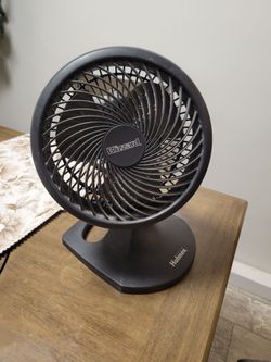 Holmes Blizzard Fan