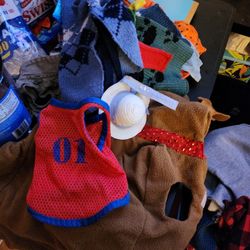 Dog Clothes Xs-s