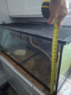 Reptile enclosure
