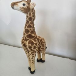 Giraffe 