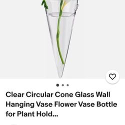 Clear Glass Wall Vase Pocket