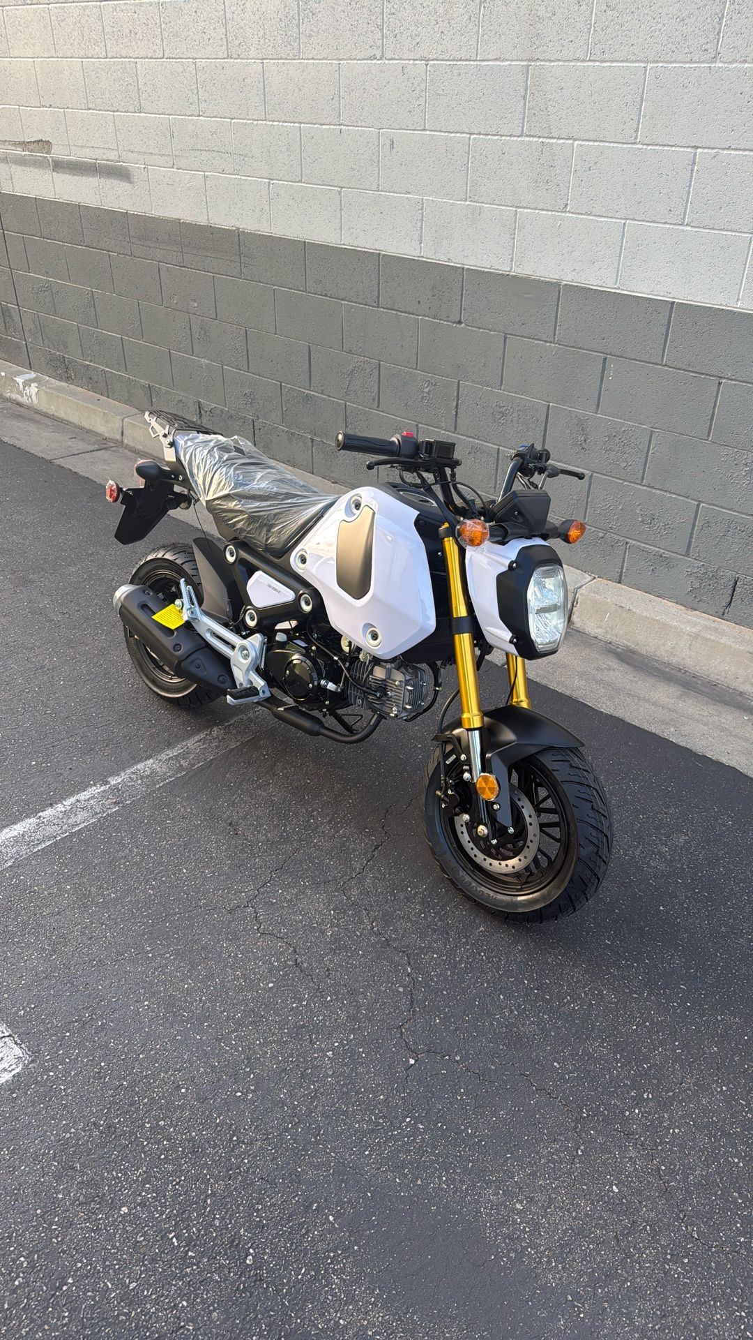 Brand New Motorcycle 125CC