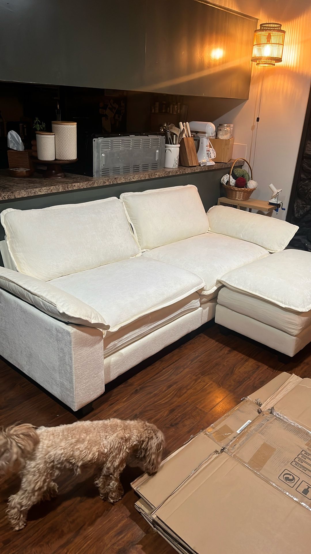 Brand New Cream Couch