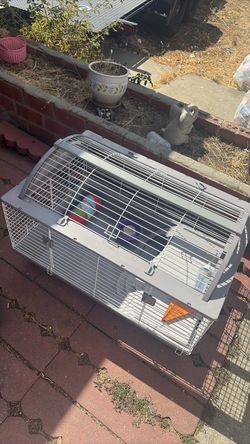 Bunny cage