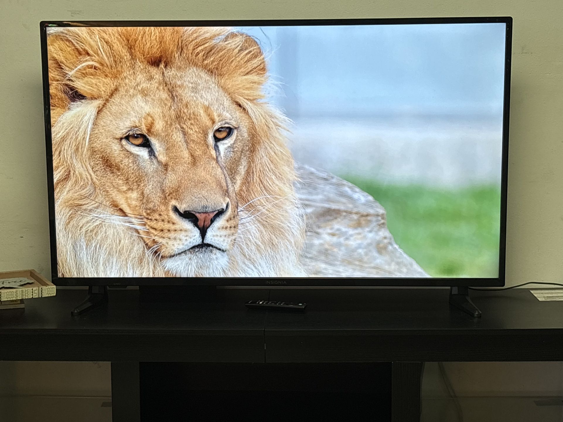 Insignia 50 inch 4K TV with Alexa