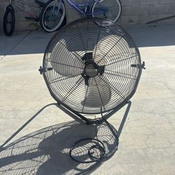 Fan