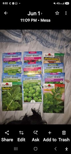 Lots of seeds