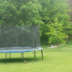 Trampoline