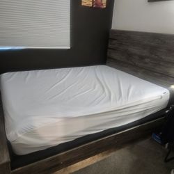 Temper Pedic Adapt 11in Medium