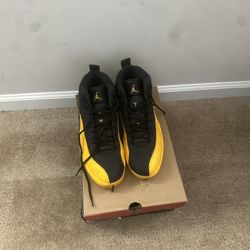 Jordan 12