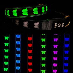 DOGLED USB-C Led Light Up Dog Collar, 3D Design Comfortable And Soft Material,Multicolored Lighting?Night Dog Collar (BT-Black, M(15.7-19.7")) M(15.7-