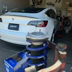 Fender Roll and Suspension