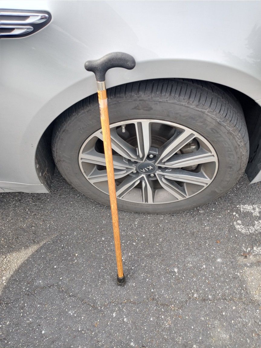 Small Cane