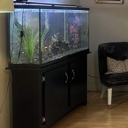 65 Gallon Tall Aquarium Full Setup