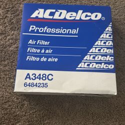 AC Delco Professional Air Filter