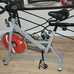 Sunny Exercise Bike
