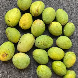 Carrie Mangoes 