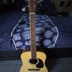 Davidson Guitar 