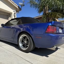 Mustang SVE Wheels 
