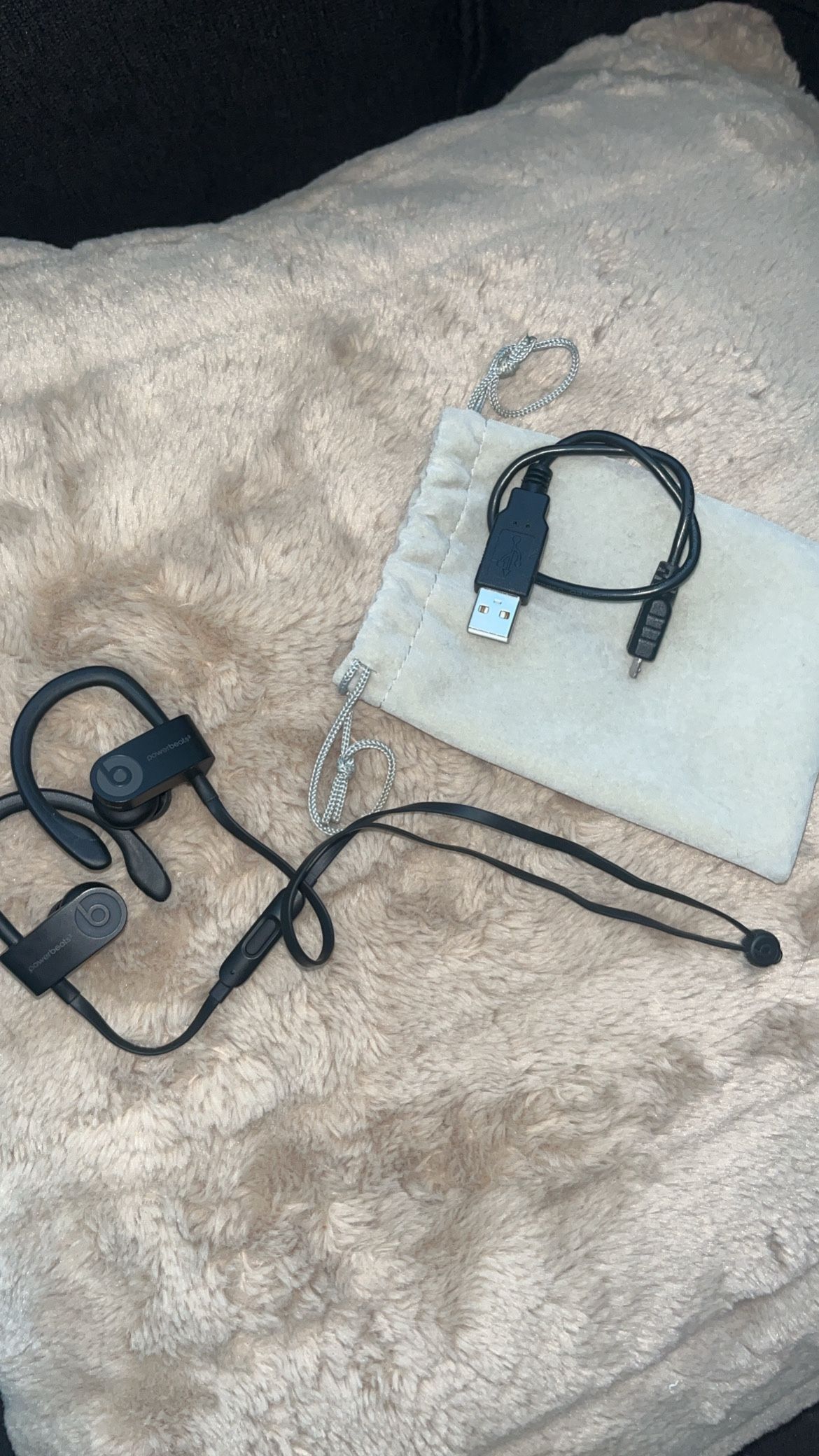 Dr. Beats Powerbeats 3 Wireless Headphones
