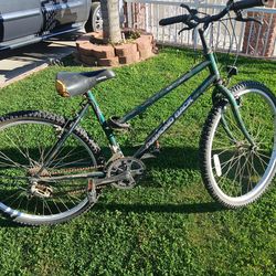 26 inch diamond back