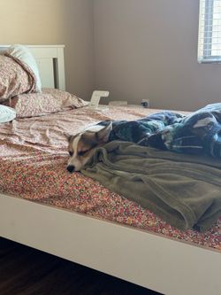 Queen Bed frame + mattress