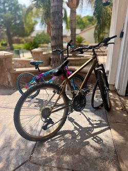 Two Bicycles - $10 for Both!