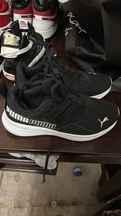 Puma